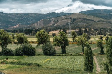 Samaca, Boyaca, Kolombiya 'daki tarım ürünlerinin manzarası.