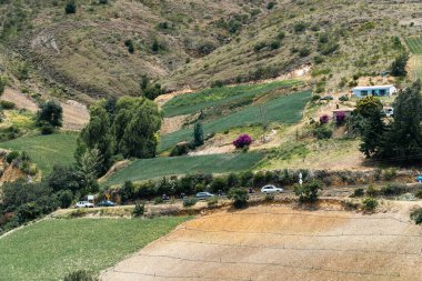 Soğan ekili doğa manzarası. Boyaca, Kolombiya.