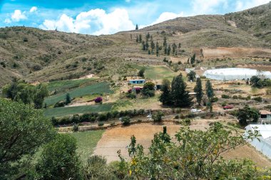 Soğan ekili doğa manzarası. Boyaca, Kolombiya.