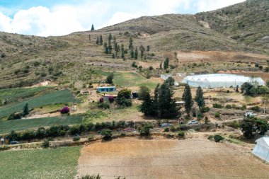 Soğan ekili doğa manzarası. Boyaca, Kolombiya.