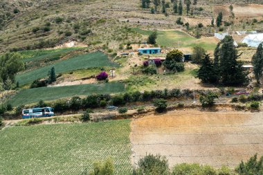 Soğan ekili doğa manzarası. Boyaca, Kolombiya.