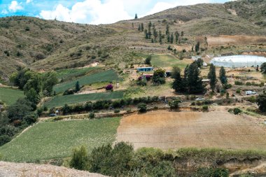 Soğan ekili doğa manzarası. Boyaca, Kolombiya.