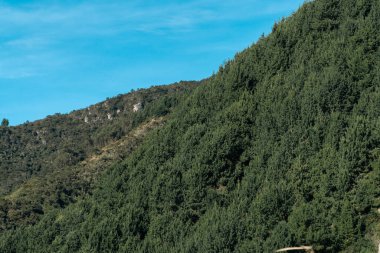 Mavi gökyüzü ve dağları olan kırsal bir bölge. Kolombiya.