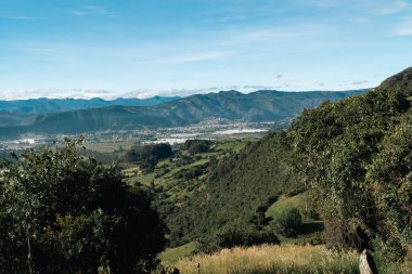 Cundiboyacense manzarası Sesquile çiçekleri ekiyor. Kolombiya