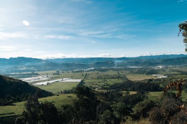 Cundiboyacense manzarası Sesquile çiçekleri ekiyor. Kolombiya