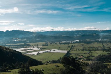 Cundiboyacense manzarası Sesquile çiçekleri ekiyor. Kolombiya