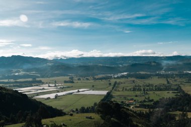 Cundiboyacense manzarası Sesquile çiçekleri ekiyor. Kolombiya