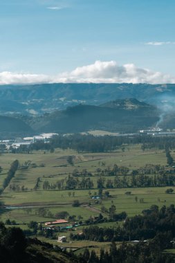 Cundiboyacense manzarası Sesquile çiçekleri ekiyor. Kolombiya