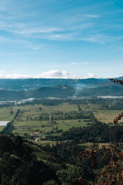 Cundiboyacense manzarası Sesquile çiçekleri ekiyor. Kolombiya