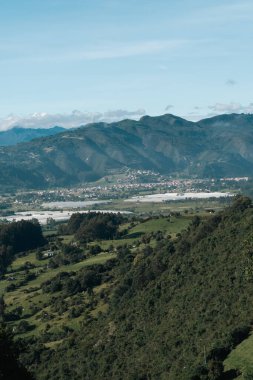 Cundiboyacense manzarası Sesquile çiçekleri ekiyor. Kolombiya