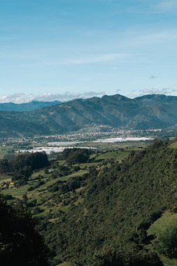Cundiboyacense manzarası Sesquile çiçekleri ekiyor. Kolombiya