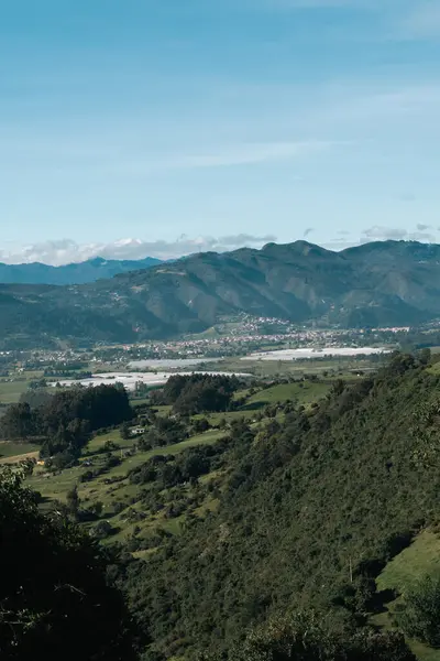 Cundiboyacense manzarası Sesquile çiçekleri ekiyor. Kolombiya