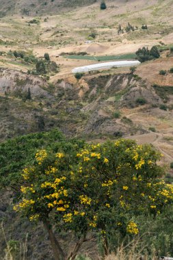 Villa de Leyva, Boyaca, Kolombiya 'ya giden çöl manzarası yolu..