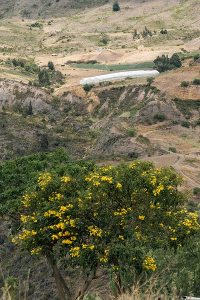 Villa de Leyva, Boyaca, Kolombiya 'ya giden çöl manzarası yolu..