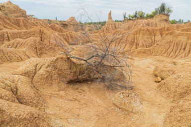 Doku ve mavi gökyüzü ile jeolojik oluşumlar. Tatacoa Çölü, Kolombiya.