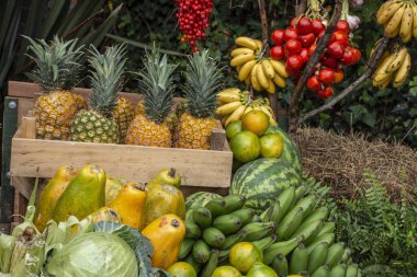Ön planda renkli meyve ve sebzeler.