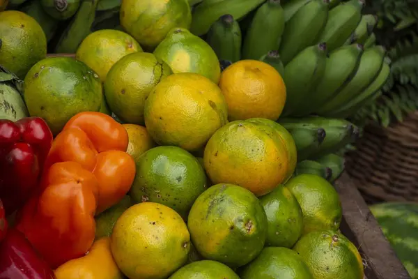 전경에 다채로운 과일과 — 스톡 사진