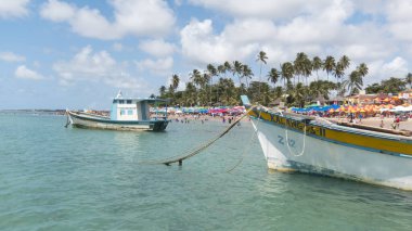 Porto de Galinhas, Ipojuca, Brezilya. 16 Eylül 2019: Renkli şemsiyeli kumsal, mavi gökyüzü ve palmiye ağaçları.