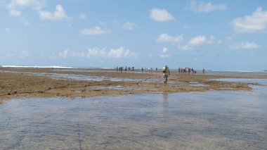 Porto de Galinhas, Ipojuca, Brezilya. 16 Eylül 2019: Renkli şemsiyeli kumsal, mavi gökyüzü ve palmiye ağaçları.