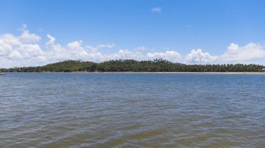 Carneiros sahilinde kum ağaçları ve mavi gökyüzü olan bir manzara. Tamandare, Brezilya. 
