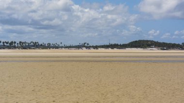 Carneiros sahilinde kum ağaçları ve mavi gökyüzü olan bir manzara. Tamandare, Brezilya. 
