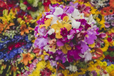 Medellin, Antioquia, Kolombiya. 11 Ağustos 2019: Silleteros Çiçek Fuarı 'nda geçit töreni.