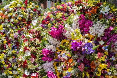 Medellin, Antioquia, Kolombiya. 11 Ağustos 2019: Silleteros Çiçek Fuarı 'nda geçit töreni.