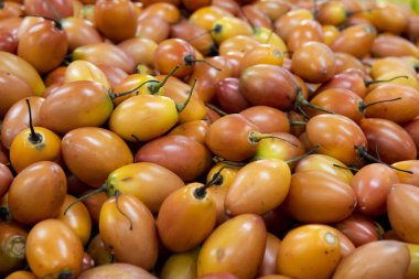 Tamarillo ya da domates ağacı, Kolombiya 'da yetişen geleneksel meyve.