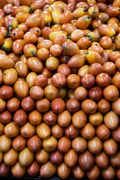 タマリロまたはトマトの木 コロンビアで成長する伝統的な果物 — ストック写真