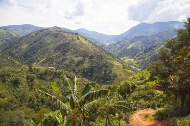 El Toyo Caas Gordas Antioquia Kolombiya yoluyla