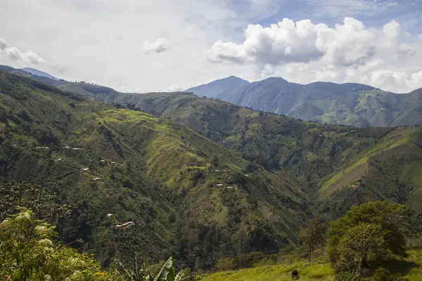 El Toyo Caas Gordas Antioquia Kolombiya yoluyla