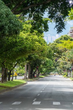 Medellin, Antioquia, Colombia. July 20, 2020: Nutibara avenue with green corridor in quarantine days.
