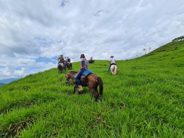 Tamesis, Antioquia, Kolombiya. 29 Haziran 2020: Güzel mavi gökyüzü ile tarlada at sürmek.