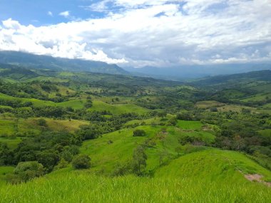Tamesis, Antioquia, Kolombiya. 29 Haziran 2020: Güzel mavi gökyüzü ile tarlada at sürmek.