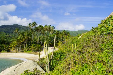 Cape San Juan Rehberi, Tayrona Ulusal Parkı, Santa Marta, Magdalena, Kolombiya