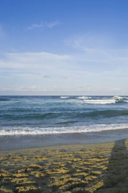 Reef Beach; Tayrona Ulusal Parkı, Santa Marta, Magdalena, Kolombiya
