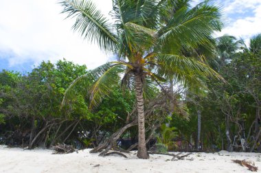 San Andres Adası, San Andres Takımadası, Providencia ve Santa Catalina, Kolombiya. 29 Ocak 2013: Rocky Cay Sahili. 