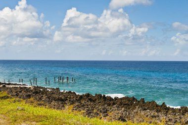 Karayipler 'deki deniz ve palmiye ağaçları San Andres Adası' nın manzarası.