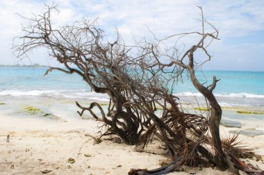San Andres Adası manzarası, San Andres Takımadası, Providencia ve Santa Catalina, Kolombiya