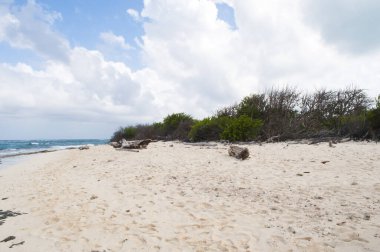 Rocky Cay plaj manzarası. San Andres, Providencia ve Santa Catalina Takımadaları.
