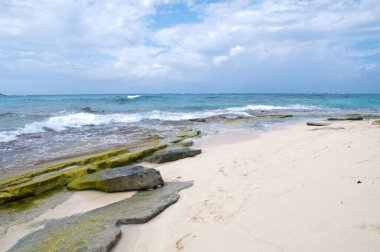 Rocky Cay plaj manzarası. San Andres, Providencia ve Santa Catalina Takımadaları.