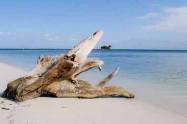 Rocky Cay plaj manzarası. San Andres, Providencia ve Santa Catalina Takımadaları.
