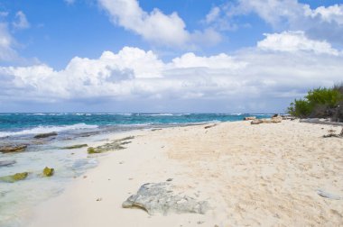 Rocky Cay plaj manzarası. San Andres, Providencia ve Santa Catalina Takımadaları.