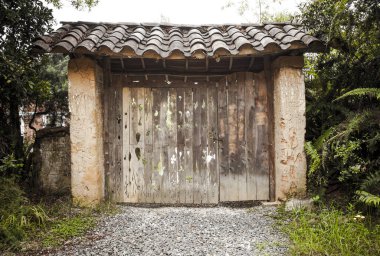 Arvi parkındaki orman. Santa Elena, Antakya, Kolombiya.