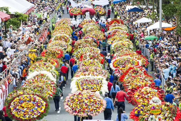 Ebedi bahar şehrindeki çiçek fuarında çekilen fotoğraflar. Medellin, Antioquia, Kolombiya.