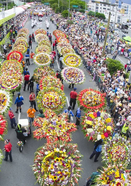 Ebedi bahar şehrindeki çiçek fuarında çekilen fotoğraflar. Medellin, Antioquia, Kolombiya.