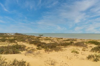 Okyanus manzaralı ve mavi gökyüzü Cabo de Vela, Guajira, Kolombiya 'da..