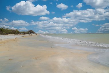 Okyanus manzaralı ve mavi gökyüzü Cabo de Vela, Guajira, Kolombiya 'da..