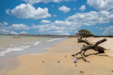 Okyanus manzaralı ve mavi gökyüzü Cabo de Vela, Guajira, Kolombiya 'da..