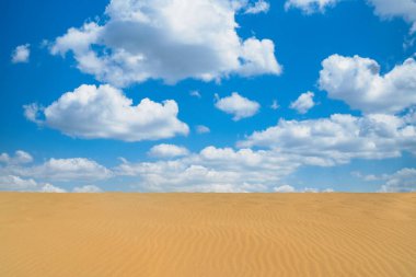 Taroa çölünde kumlara ve gökyüzüne bitki dikmek. Guajira, Kolombiya.